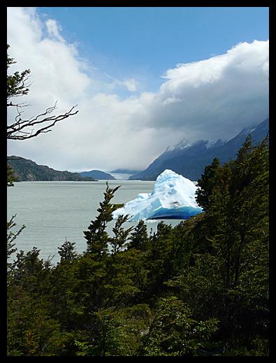 Lago Grey